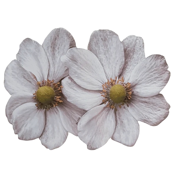 Flores Gris- Individual