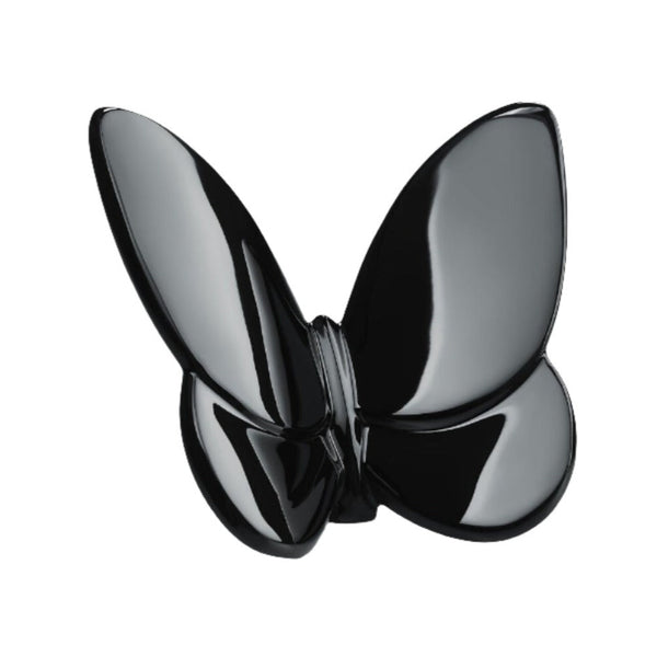 Papillon - Colored Lucky Butterfly - Black