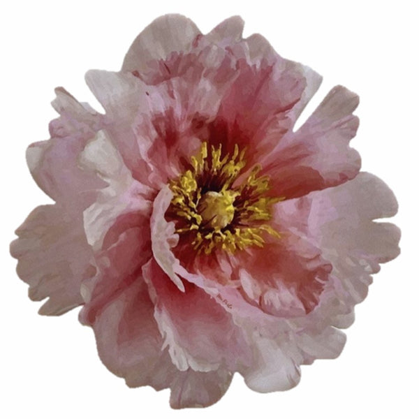 Peonia - Placemats Pink (Set of 2)