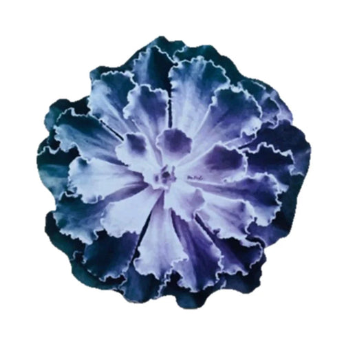 Flower Violeta- Individual